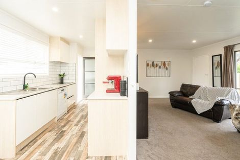 Photo of property in 65 Snell Drive, Chartwell, Hamilton, 3210