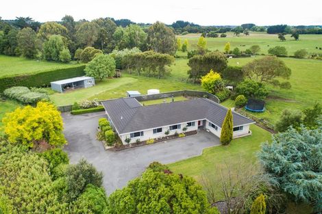 Photo of property in 130 Parewanui Road, Bulls, 4894