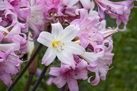 Photo of property in 35a Mains Avenue, Kensington, Whangarei, 0112