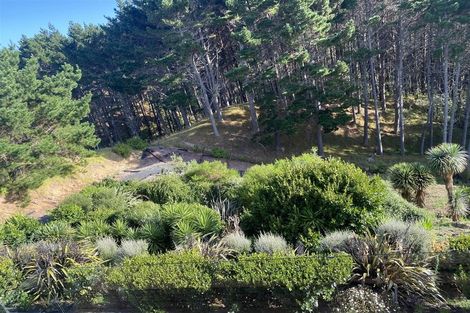 Photo of property in 929 Redoubt Road, Whitford, Auckland, 2019