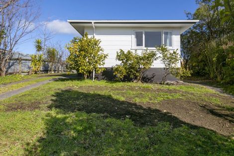 Photo of property in 19 Te Takinga Street, Turangi, 3334