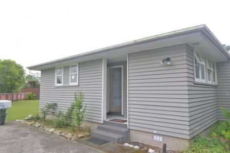 Photo of property in 59 Rintoul Street, Westport, 7825