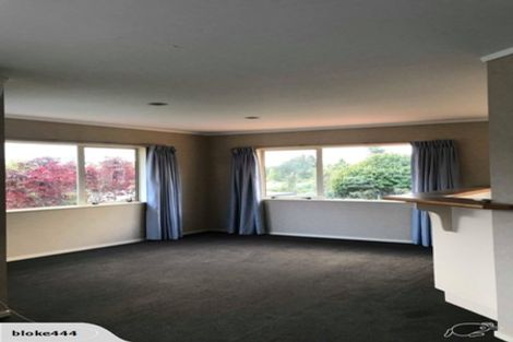 Photo of property in 17 Te Koari Drive, Brookfield, Tauranga, 3110