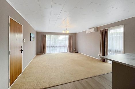 Photo of property in 12 Luton Street, Hokowhitu, Palmerston North, 4410