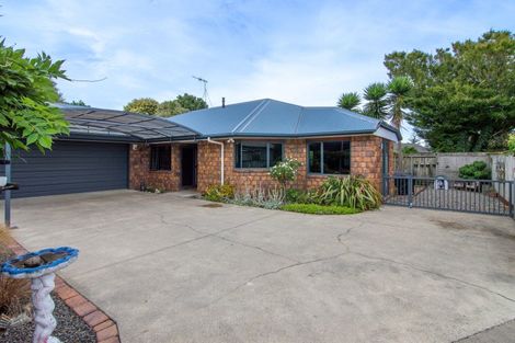 Photo of property in 28a Knowles Street, Terrace End, Palmerston North, 4410