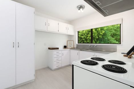 Photo of property in 13 Neil Place, Gate Pa, Tauranga, 3112