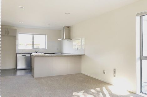 Photo of property in 17 Preston Avenue, Henderson, Auckland, 0610