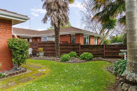 Photo of property in 4 Williams Street, Tauranga, 3110