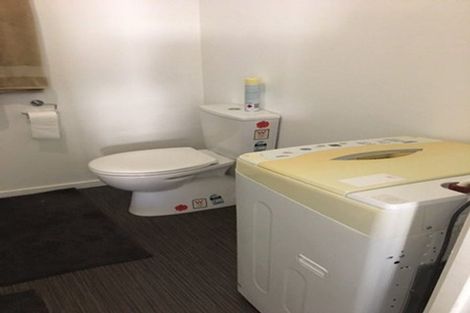 Photo of property in 58 Ascot Road, Chartwell, Hamilton, 3210