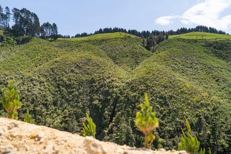 Photo of property in 316b Waitao Road, Waitao, Tauranga, 3175