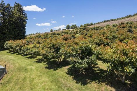 Photo of property in 54d Chard Road, Aongatete, Katikati, 3178