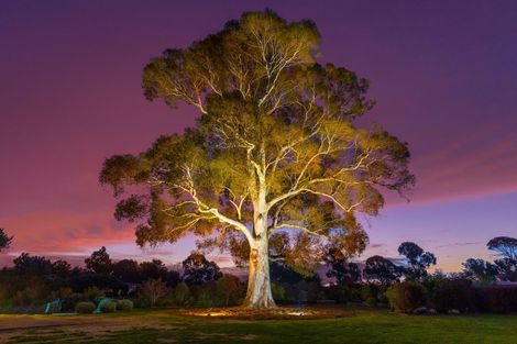 Photo of property in 6 Dry Hills Rise, Riverlands, Blenheim, 7274