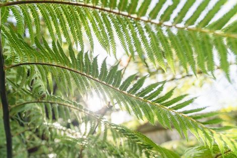 Photo of property in 16 Saint John Street, Aro Valley, Wellington, 6011