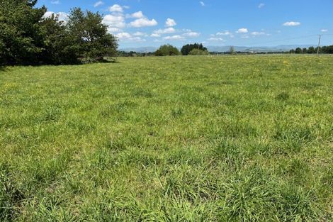 Photo of property in 292 Tamaki River Road, Dannevirke, 4972