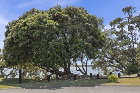 Photo of property in 5 Citrus Place, Mangawhai, 0505