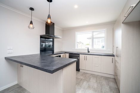 Photo of property in 18a Thames Street, Roslyn, Palmerston North, 4414