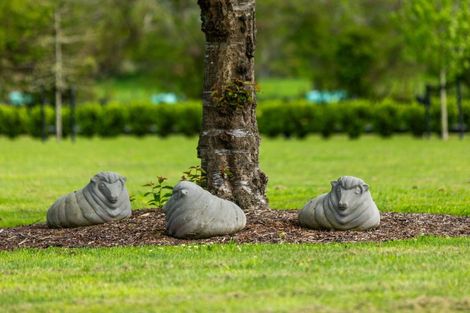 Photo of property in 18 Orchard Place, Matamata, 3472