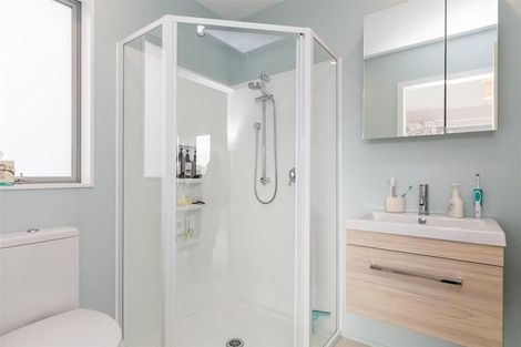 Photo of property in 49 Red Beech Avenue, Woodridge, Wellington, 6037