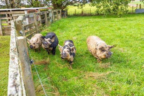 Photo of property in 672 Henry Road, Taupiri, 3791