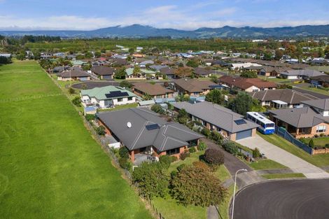 Photo of property in 6 Brookby Place, Katikati, 3129