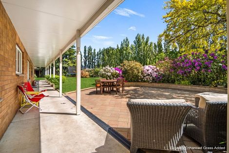 Photo of property in 312 Oamaru-alma Road, Alma, Oamaru, 9491