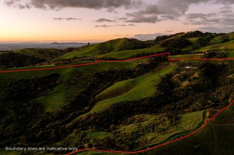 Photo of property in 88 Tirohanga Road, Rotoorangi, Cambridge, 3495