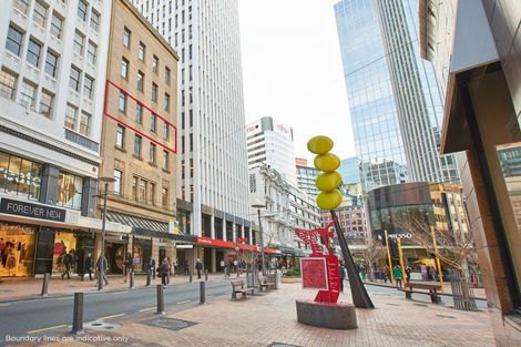 Photo of property in South British Building - Level 3, 3/326 Lambton Quay, Wellington Central, Wellington, 6011