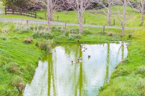 Photo of property in 67 Te Pahi River Drive, Paparoa, 0583