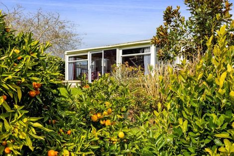 Photo of property in 234 Bridge Street, Eltham, 4322