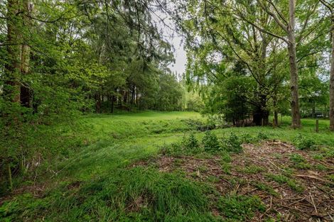 Photo of property in 111 Hinemoa Valley Road, Kaitawa, Pahiatua, 4981