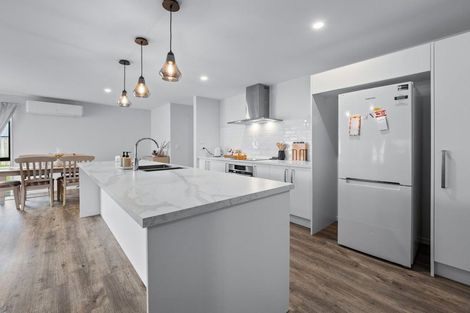 Photo of property in 142 Trevors Road, Elgin, Ashburton, 7700