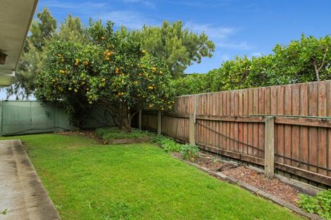 Photo of property in 50b Andrew Place, Otumoetai, Tauranga, 3110