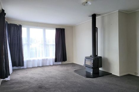 Photo of property in 17 Maire Street, Levin, 5510