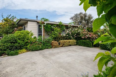 Photo of property in 17 Newton Street, Outer Kaiti, Gisborne, 4010