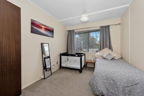 Photo of property in 19 Ridout Street, Maeroa, Hamilton, 3200