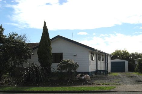 Photo of property in 21 Martin Harvey Street, Levin, 5510