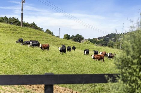 Photo of property in 671 Weranui Road, Puhoi, Silverdale, 0994