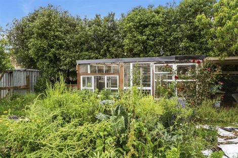 Photo of property in 3 Great Collins Street, Ohaupo, 3803