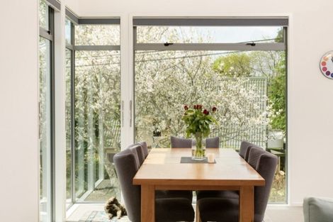 Photo of property in 21c Scantlebury Street, Tauranga South, Tauranga, 3112