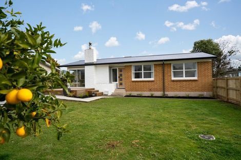 Photo of property in 4 Froude Street, Leamington, Cambridge, 3432