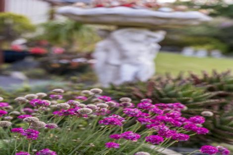 Photo of property in 20 Muscat Place, Henderson, Auckland, 0612