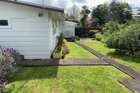 Photo of property in 11 Dellwood Avenue, Henderson, Auckland, 0612