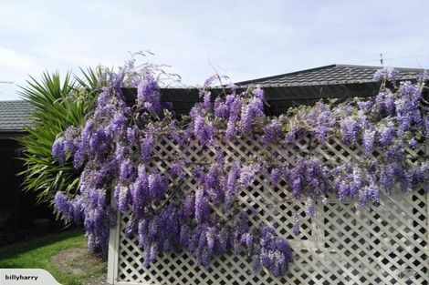 Photo of property in 38r English Street, Sockburn, Christchurch, 8042