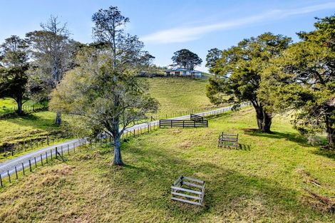 Photo of property in 251 Griffin Road, Maungaturoto, 0583