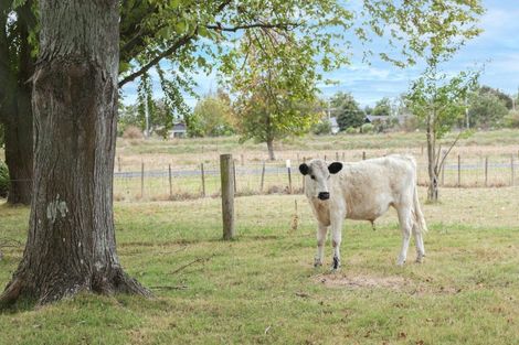 Photo of property in 79/79a Gordon Avenue, Te Aroha, 3392