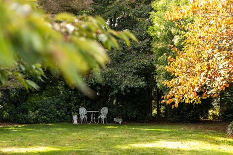 Photo of property in 80 Tuapiro Road, Tahawai, Katikati, 3170