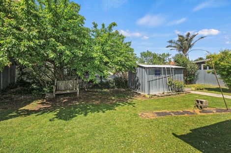 Photo of property in 5 Seymour Street, Paeroa, 3600