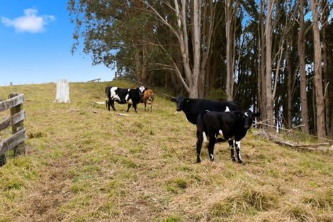 Photo of property in 519 Otamarakau Valley Road, Pukehina, Te Puke, 3186