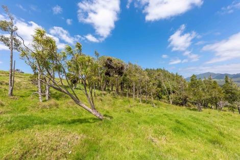 Photo of property in 183 Koutu Loop Road, Whirinaki, 0473