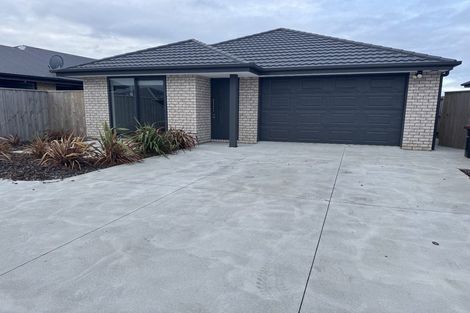 Photo of property in 11 Nathaniel Archer Street, Woodend, 7610